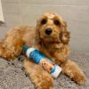 Picture of Bio-Groom, USA Fluffy Puppy Tear Free Shampoo